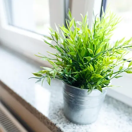 Nautica Palace * Щецин