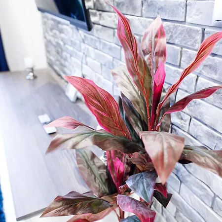 Апартаменты Nautica Palace *